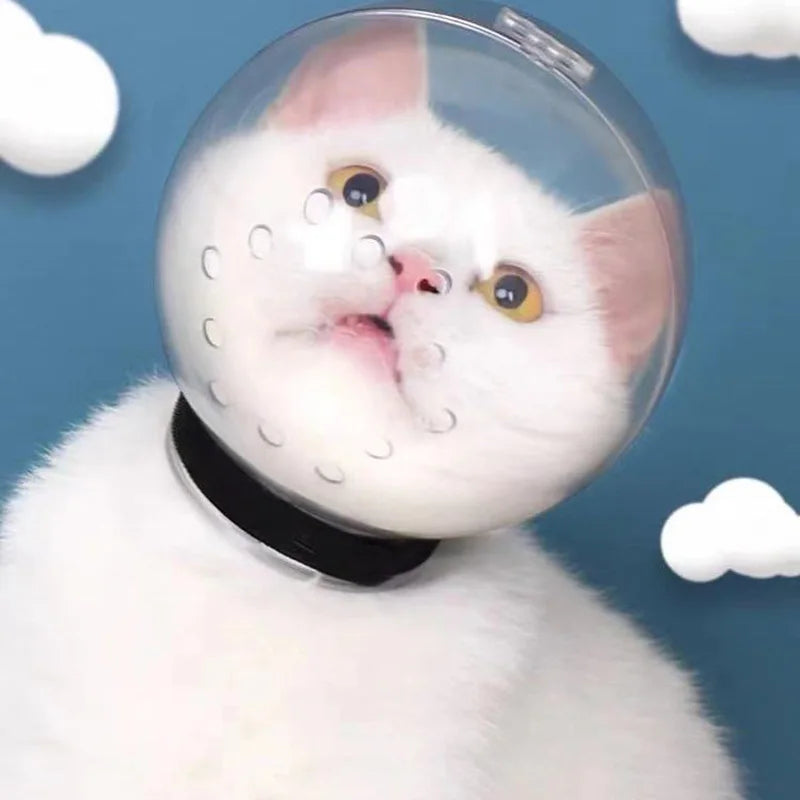 Bola espacial transpirable para el cuidado de gatos, cubierta para gatos, gatitos, máscara de bozal para mascotas, corte de uñas, baño, suministros de sombrero de seguridad antimordida